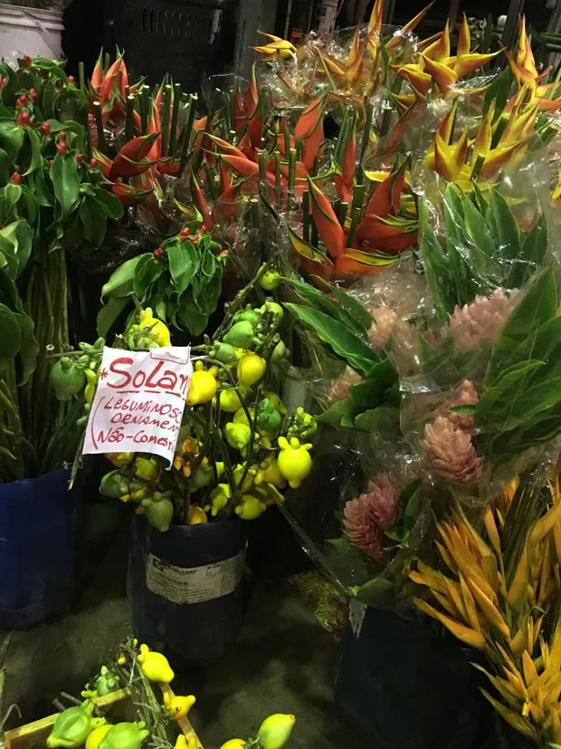 Banca de feira com mudas de plantas e sinalização de ofertas.