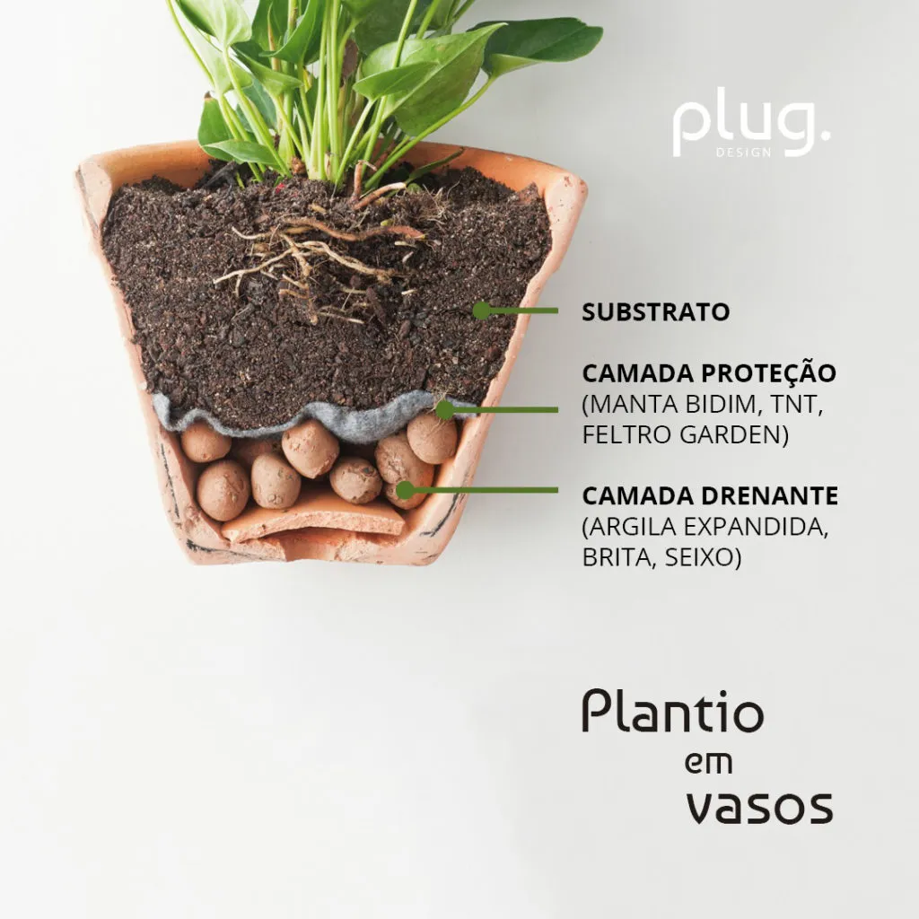 Diagrama visual ou etiquetas explicativas sobre os cuidados necessários com plantas em vasos