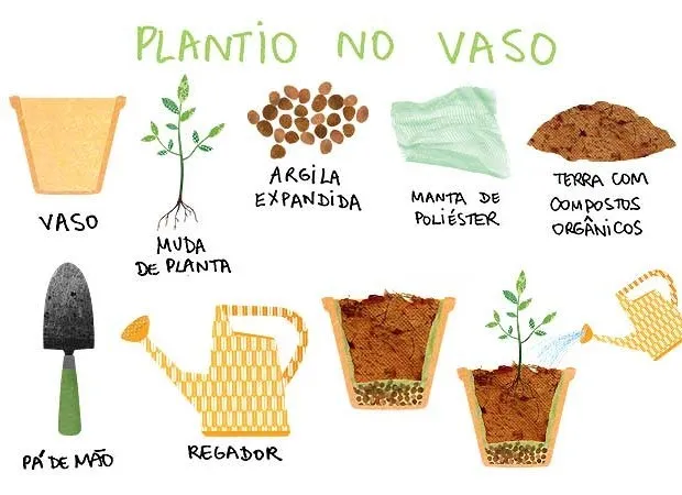 Materiais organizados para o processo de plantio em vasos