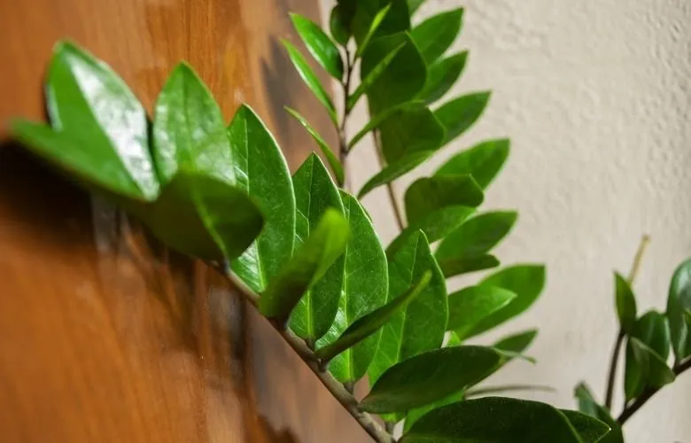 Detalhe da base de um vaso de plástico preto com furos de drenagem visíveis.