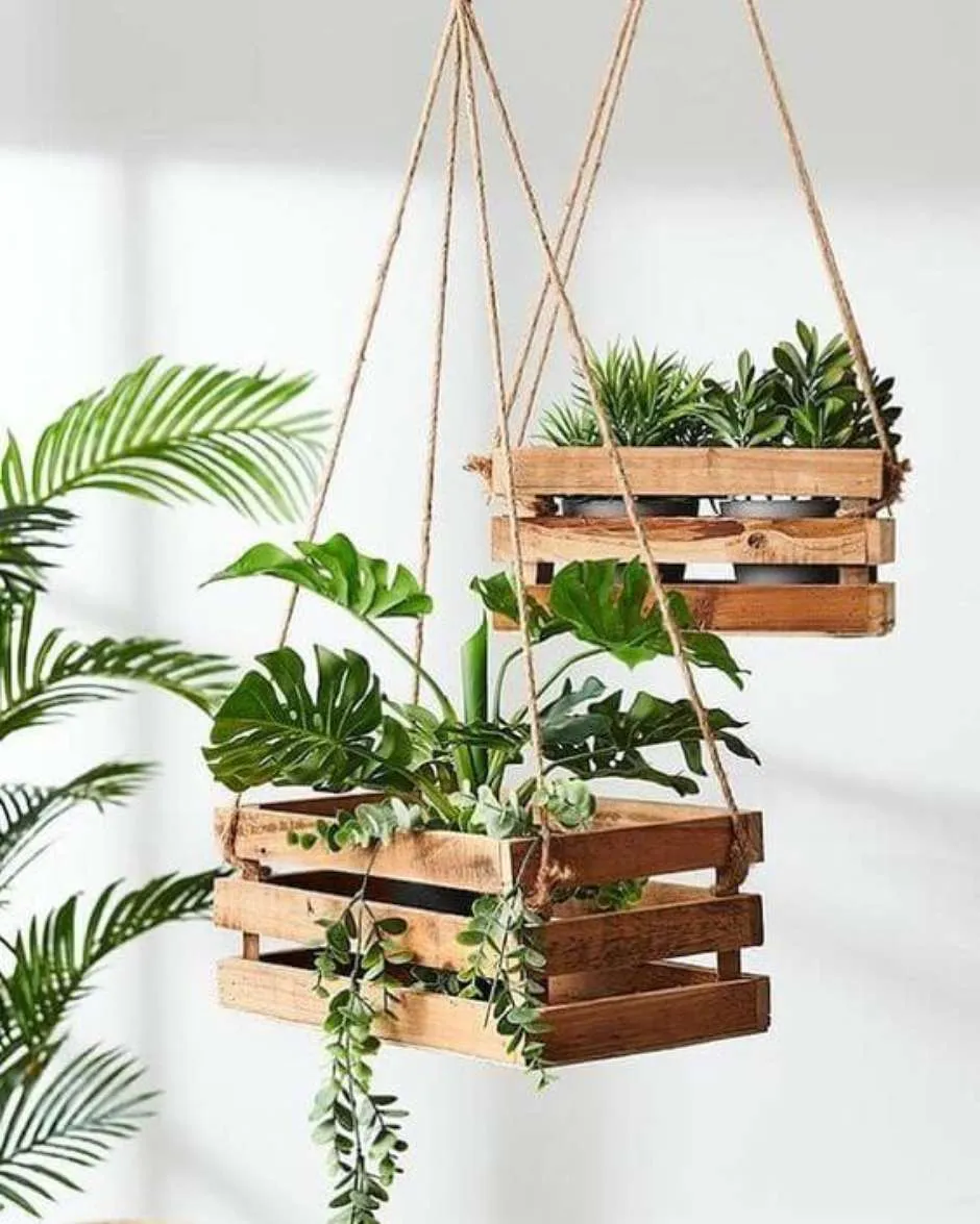 Dois suportes de madeira pendurados segurando plantas com folhagens variadas.