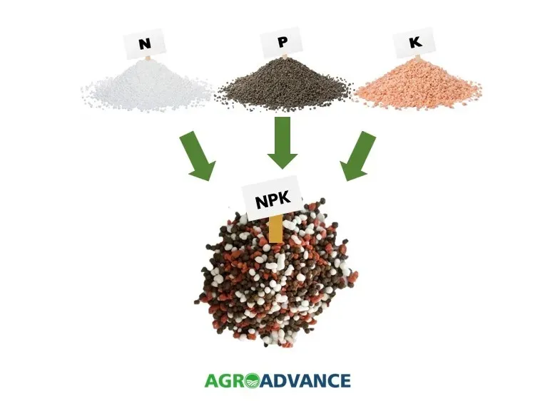 Diagrama comparativo ilustrando a diferença entre fertilizante mineral NPK e adubo orgânico.