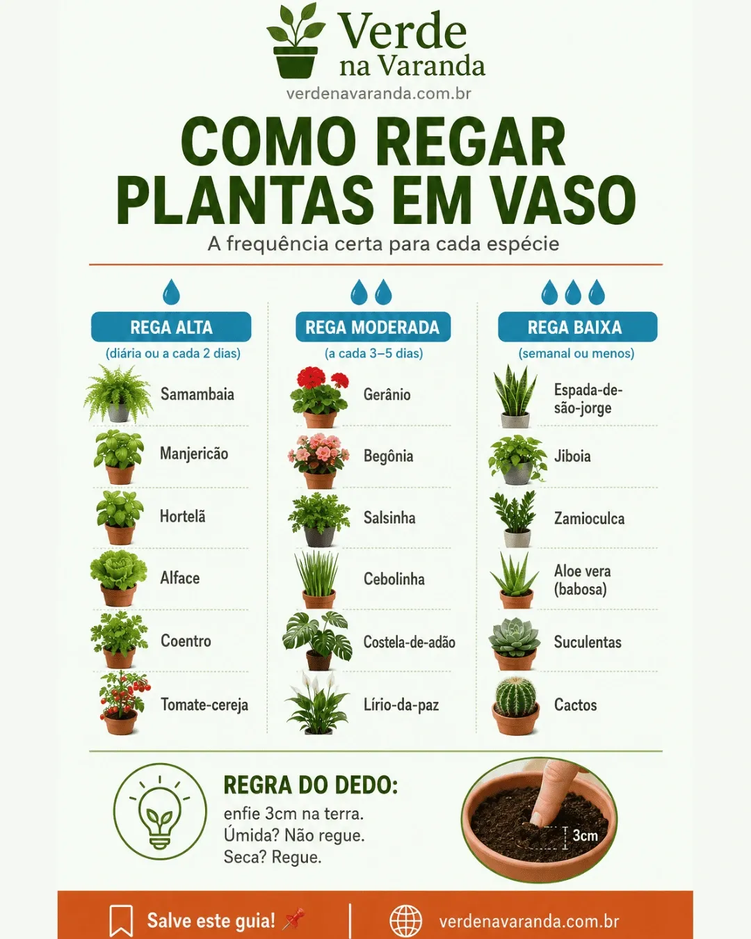 Mão verificando umidade da terra no vaso.