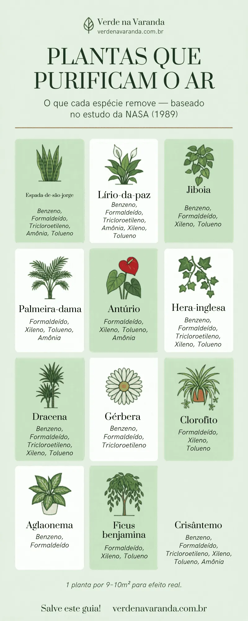 Tabela informativa sobre plantas e suas características de cultivo