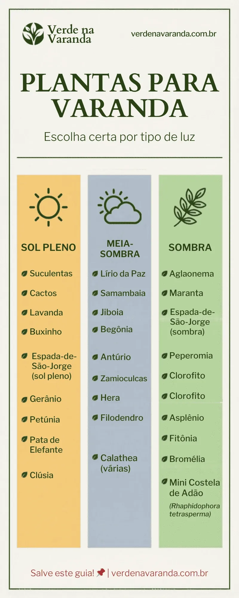 Infográfico educativo mostrando a relação entre tipos de plantas e necessidade de luminosidade.