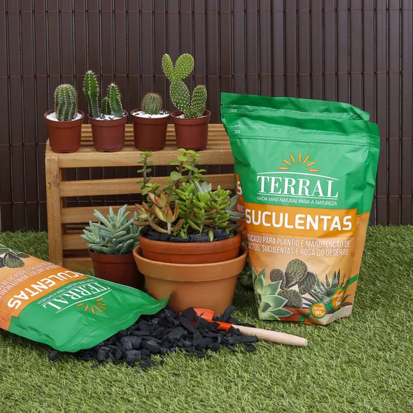 Vasos com plantas organizados ao lado de ferramentas de jardinagem e substrato pronto para o plantio.